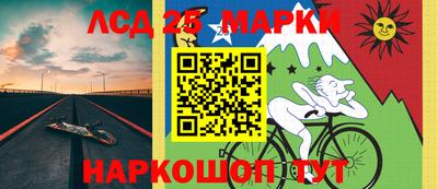 гидра Новодвинск