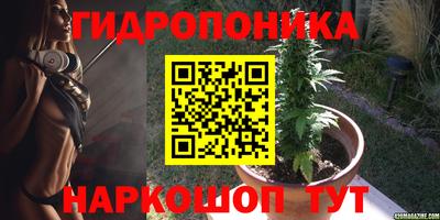 трава Нягань