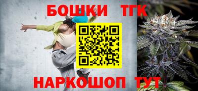гидра Новодвинск