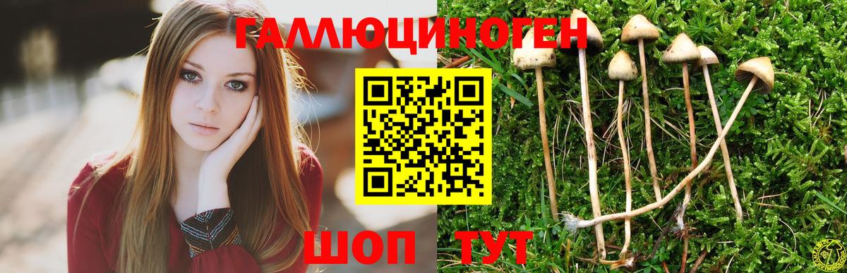 Галлюциногенные грибы ЛСД Пушкино