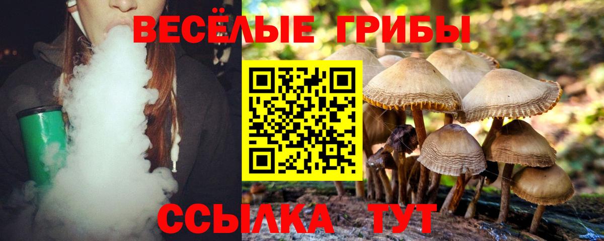 Галлюциногенные грибы Psilocybe  как найти   Пушкино  Вход с VPN 